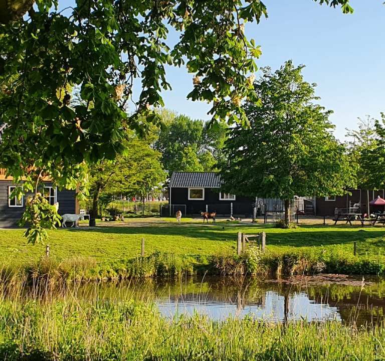 Groene buitenschoolse opvang