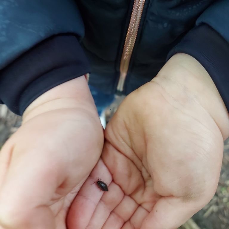 Leren van de natuur