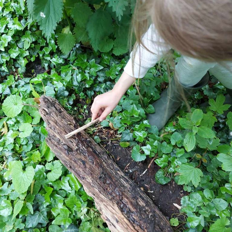 Groene kinderopvang