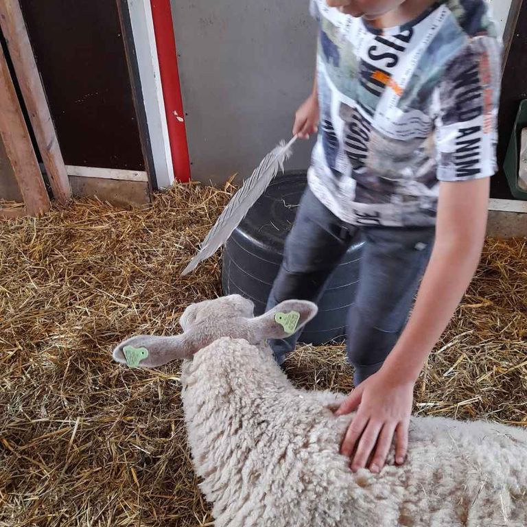Spelen op de kinderboerderij